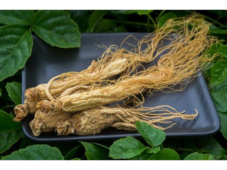 ginseng, mint a cukorbetegség kezelésében